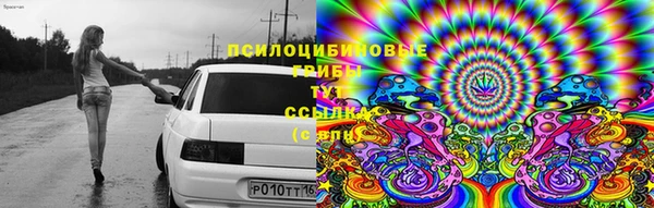 таблы Кукмор