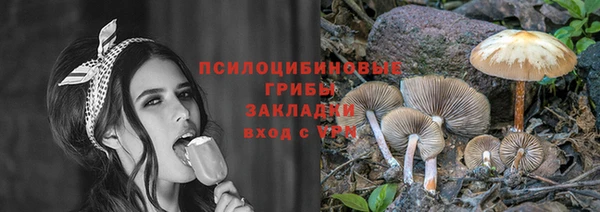 дурь Лихославль