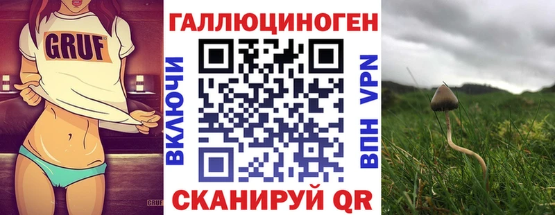 Галлюциногенные грибы Psilocybine cubensis  где можно купить   Называевск 